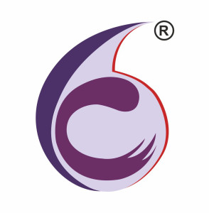 Caresoft Systems Private Limited